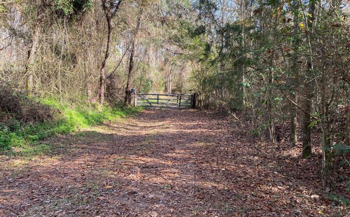 6157 Fisher Road, Meridian