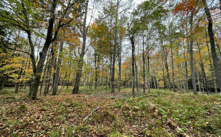Mount Hope Road, Bethel