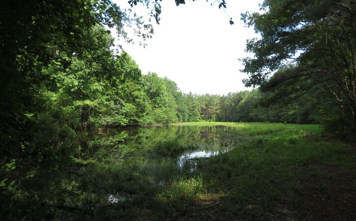 Newton County Martin Road, Collinsville