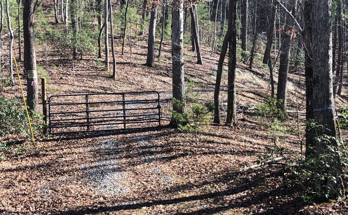 5.5AC Pig Trail, Cherry Log