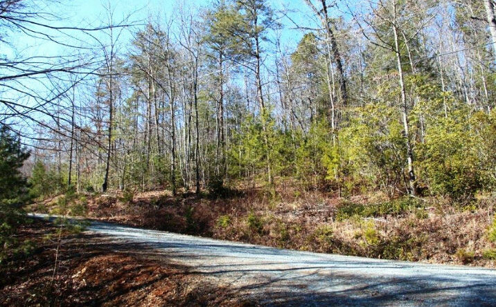 L 429 Hiawatha Trail N, Blue Ridge