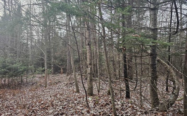 461 Hill Rd, Dummer