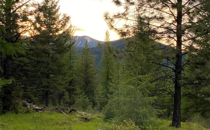 Lot 6 Panoramic View Drive, Libby