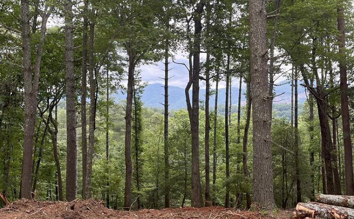 Lot 592 Sapulpa Court, Ellijay