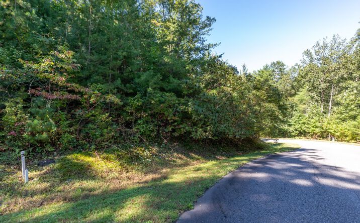LOT 3 Homestead Mountain, Ellijay