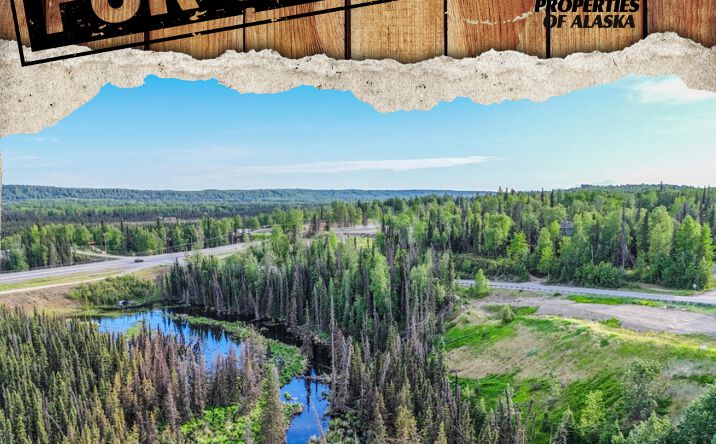 TR A2 Mackey Lake Road, Soldotna
