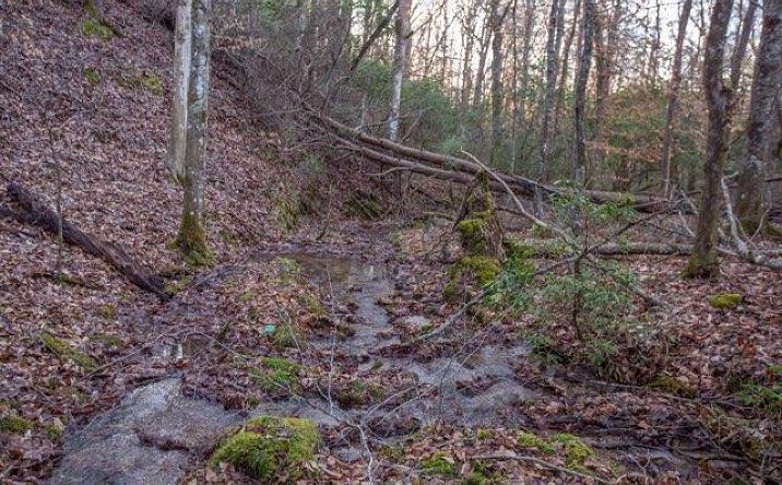 36.78 AC Old Hwy 76, Morganton