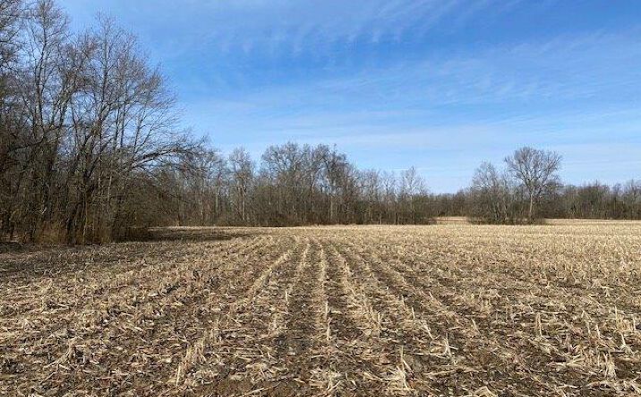 21.4ac Newtonsville Road, Wayne Twp