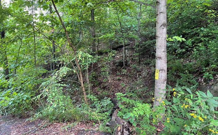 3022 Jump Off Ridge, Hiawassee