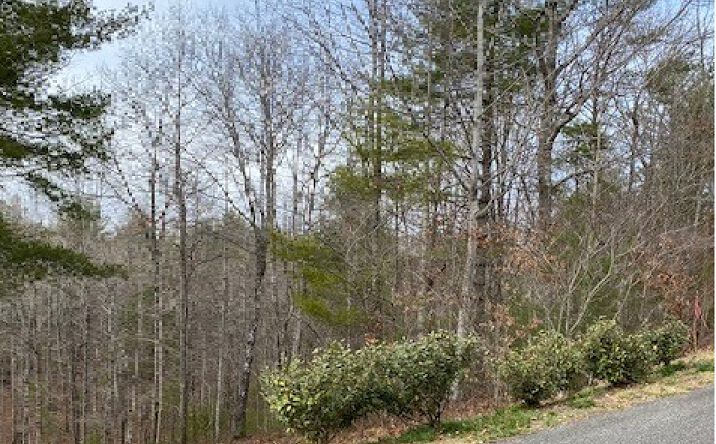LT26 Meadow Brook Trail, Morganton