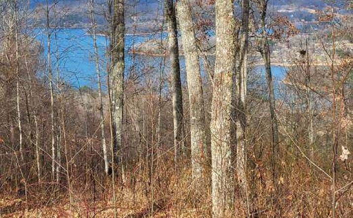 #77 Eagles View Circle, Hayesville