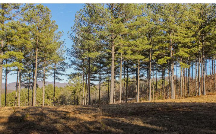LT375 Marshall Rise Road, Blairsville