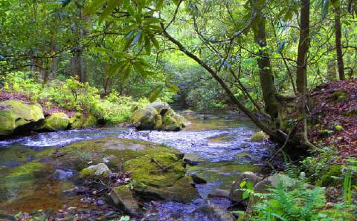 2.6AC William Sluder Road, Ellijay