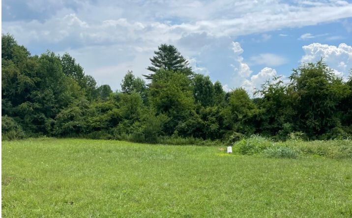 4 Dairy Way, Hayesville