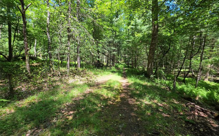 TBD Camp Kennybrook Road, Monticello