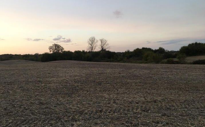 11.724ac Tice Road, Centerville