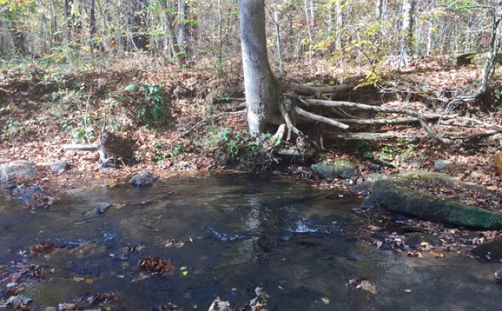 7.85 Ac Old Grandview Roa, Jasper