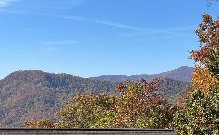 Lot 9 Black Bear Trail, Hiawassee