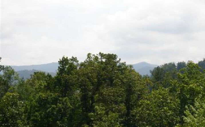 401 Little Hiawatha Trail, Blue Ridge