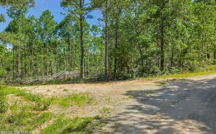 Rockport McIllwain Rd Tract 11, Holladay