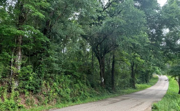 Sie Jenkins Road, Bogalusa