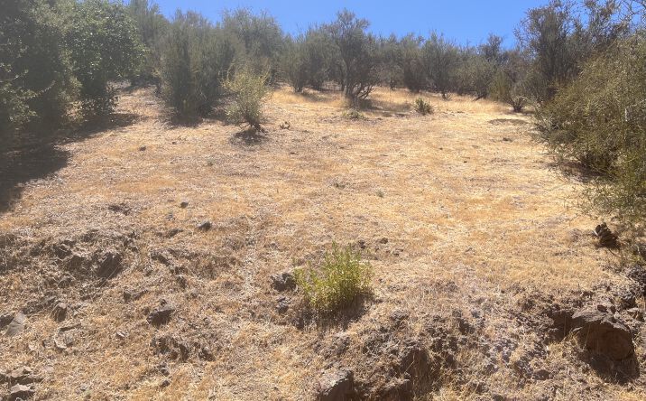 0 Renee Dr, Agoura Hills