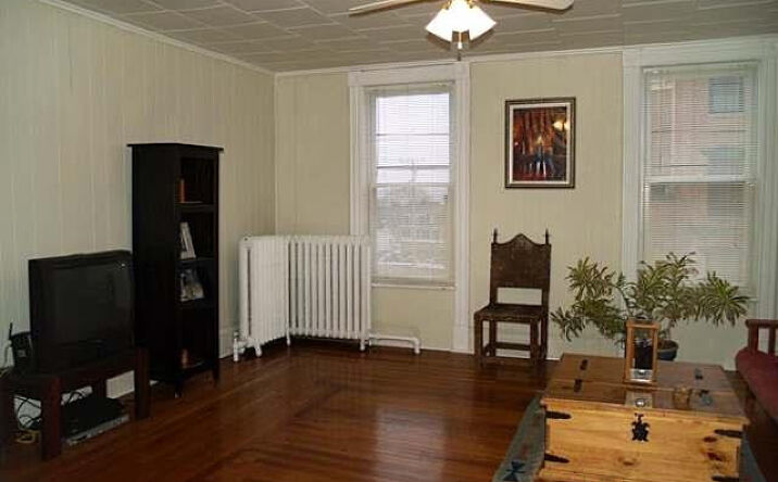 205-207 Chestnut Street, Kingston