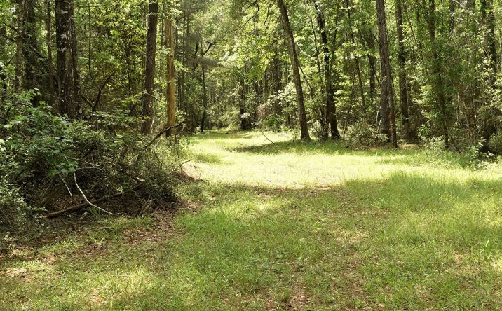 Tbd Hepzibah Rd, Clinton