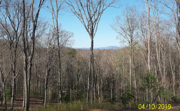 1001 Mangum's Pride, Blue Ridge