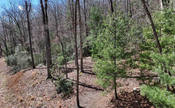 Lot 15 Native Trail, Blue Ridge