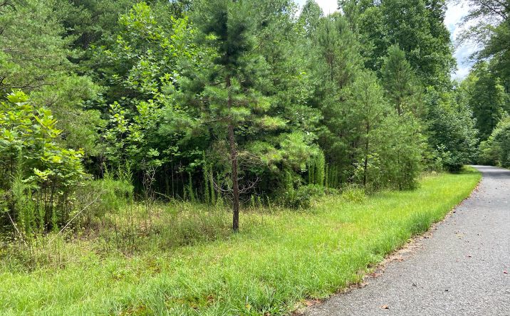 LOT1 Hightop Mountain, Morganton