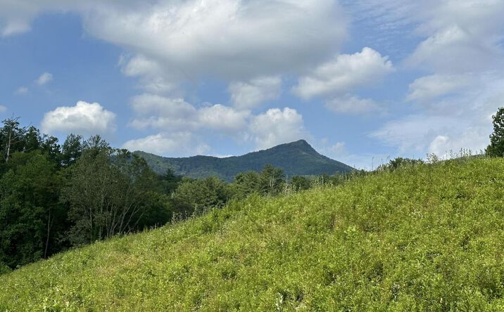0 Barnes Hollow Road, Cosby