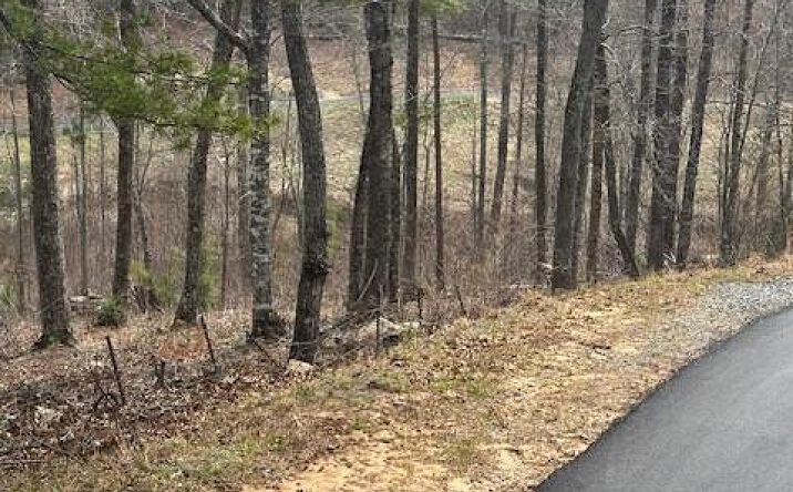 Lot 195 Trails End Way, Mineral Bluff