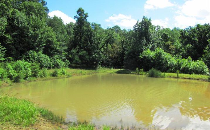 Cassel Run Road, Brushcreek Twp