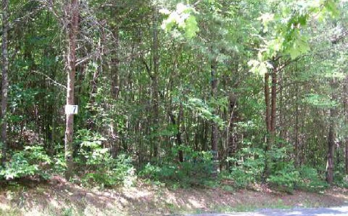 LT 7 Twin Lakes, Blue Ridge