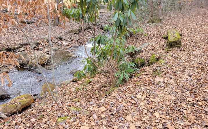 LOT 7 Compass Meadows, Hayesville