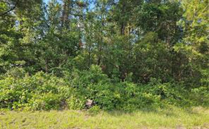 622 East Abady Lane, Citrus Springs