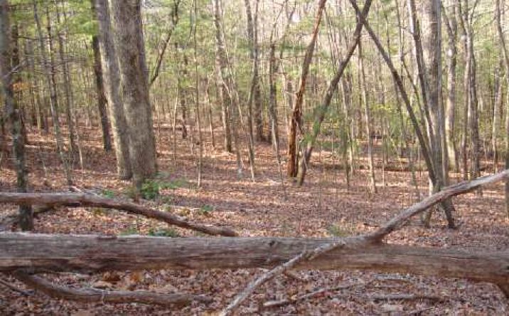 LT. 6 Enchanted Forest Lane, Blairsville