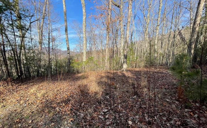 Lot 14 Big Cove Drive, Hiawassee