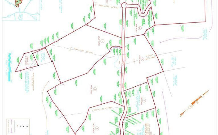 Amys Lane, Austerlitz