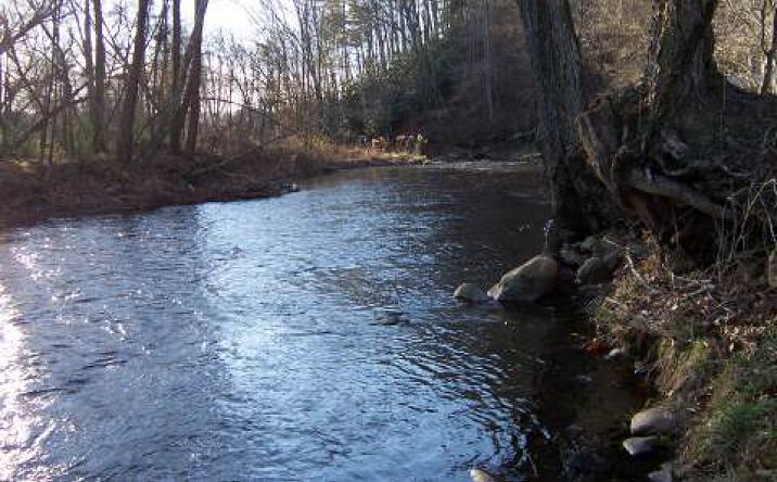 Quarter Horse Drive, Hayesville