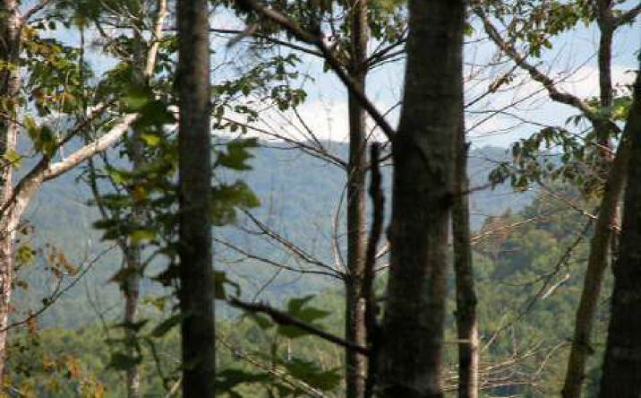 #2 Hillside @ Fires Ck, Hayesville