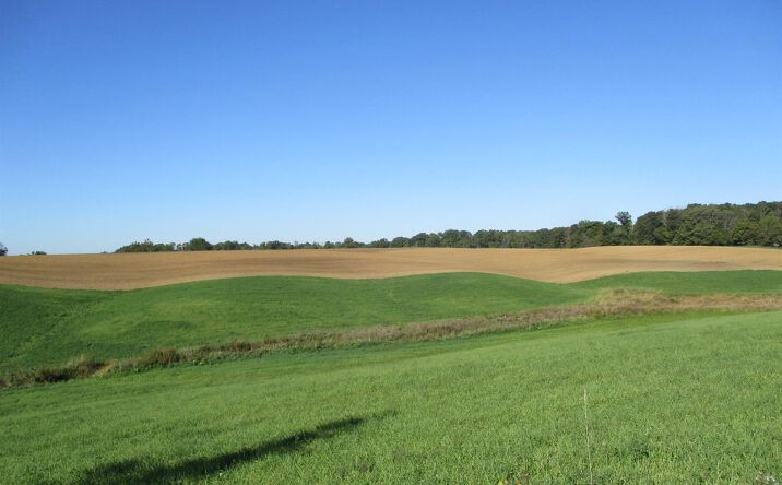 Burtzelbach Road, Guilford