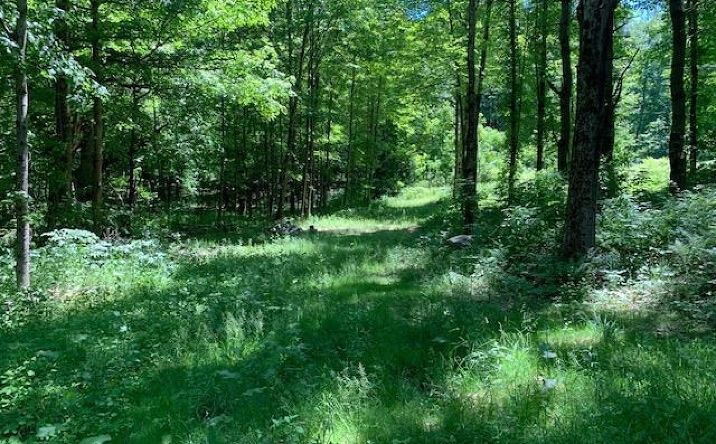 Miller Road, Canaan