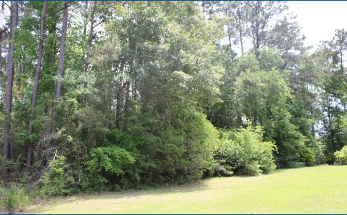 Pinewood Road, Bogalusa