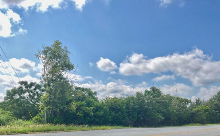 000 Moultrie Road, Albany