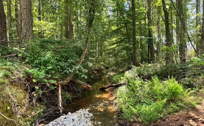 319 +/- acres Hwy 100, Franklin