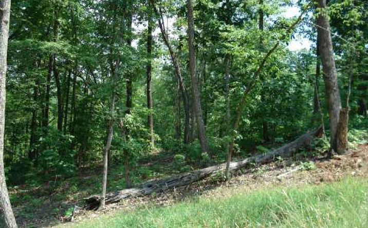 LT 15 Toccoa Farms Heights, Morganton