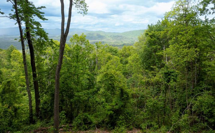LT 61 Wilderness Creek Way, Murphy