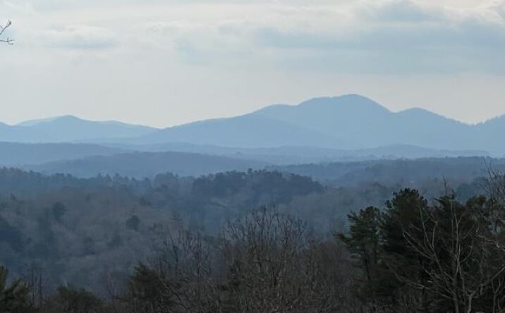 LT 52 Mountain Laurel Ridge, Mineral Bluff